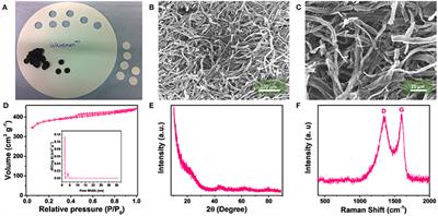 Critical Evaluation of the Use of 3D Carbon Networks Enhancing the Long-Term Stability of Lithium Metal Anodes